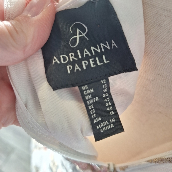 NWT $180 Adrianna Papell Blush Multicolor Floral Embroidered Midi Dress Size 12 - Picture 10 of 12